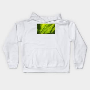 Leaf Kids Hoodie